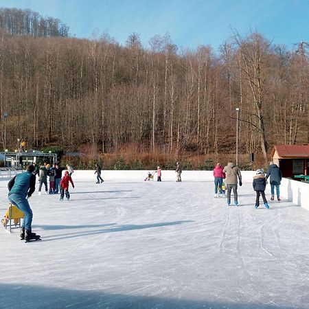 Fewo-Radau Bad Harzburg Kültér fotó
